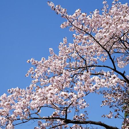 도쿄 긴자 베이 호텔 외부 사진